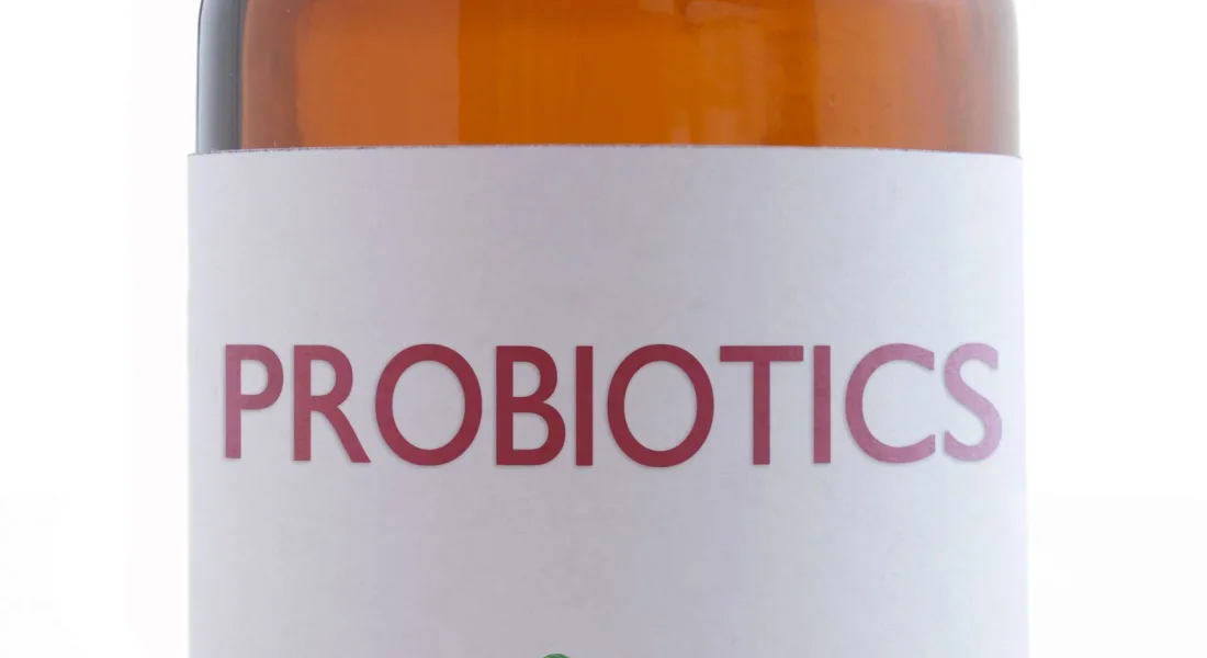Präbiotika und Probiotika