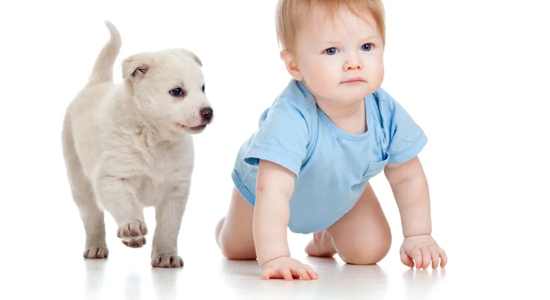 Darum krabbeln Erwachsene nun wie Babys