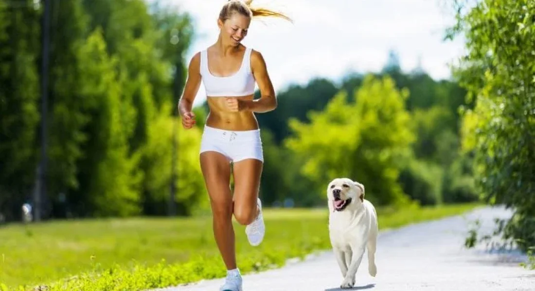 Diese Hunde sind die idealen Laufpartner.